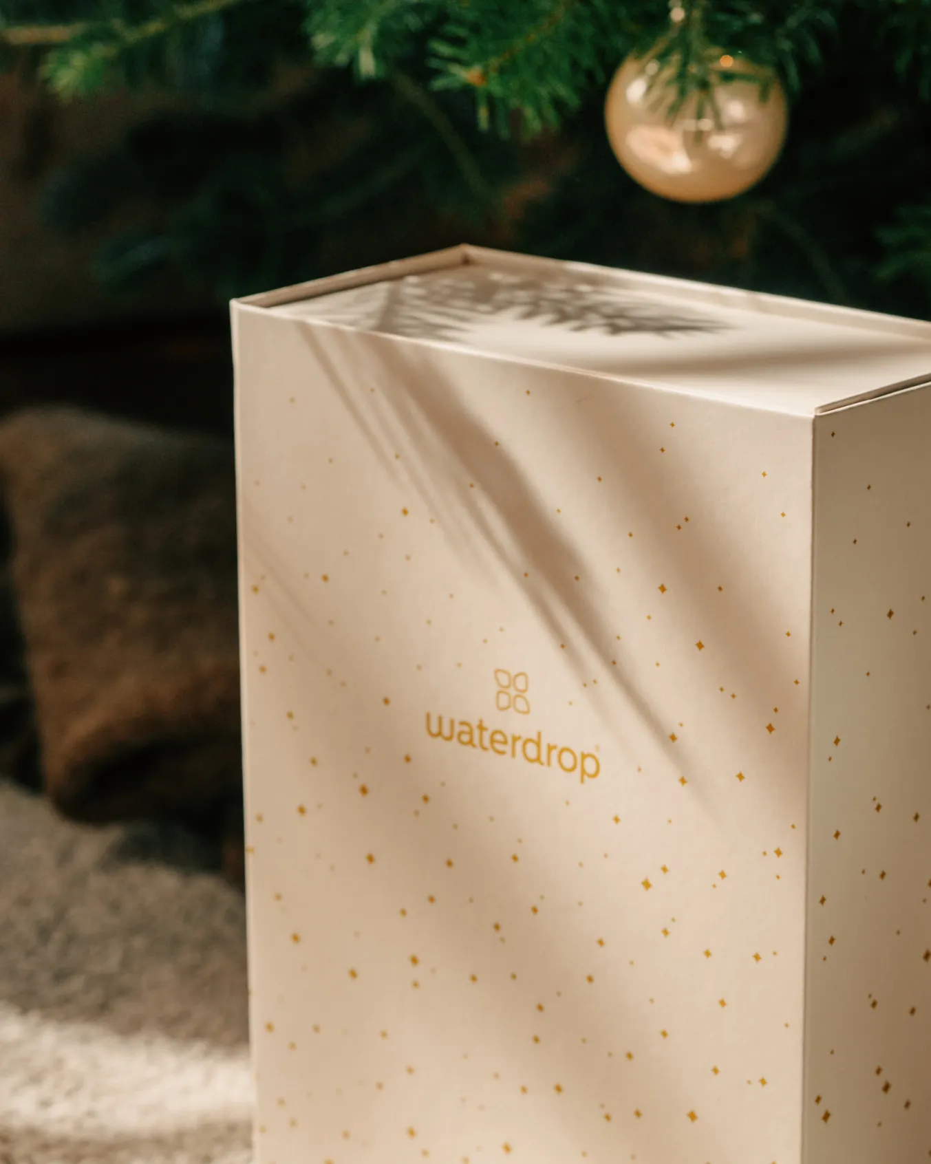 Christmas Gift Box (Reward)